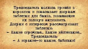 Первая Брачная Ночь в Деревне! Сборник Самых Свежих Анекдотов!