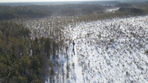 7 снегоходов. 150 километров по тайге. Томская область (февраль 2024 года)