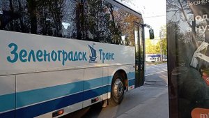 Автобус 118 маршрут Калининград Светлогорск