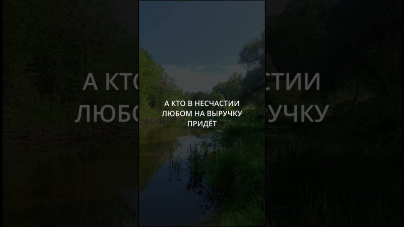 Кто твой друг #цитаты #мудрость #крысы #ecowisdom