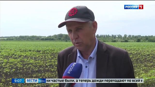 РСЦ Габробракон 2023 смотреть онлайн