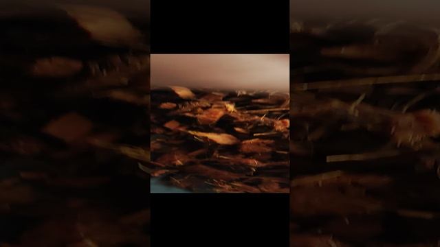 Биглипы привереды, любители скинуть корни. Первый полив и обработка новичков