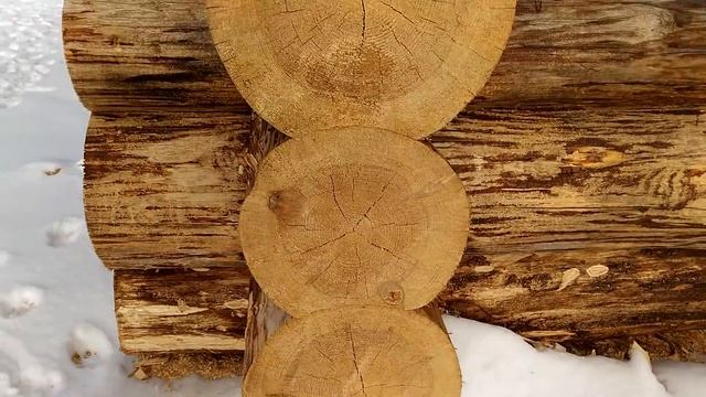 Сруб 6х6 ручной рубки в чашу диаметр 320-380 мм. смотреть онлайн