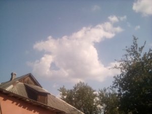 lion-canvas  -  Небесные Пастухи (акустика)