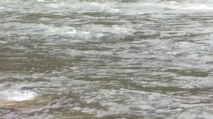 Рыбалка на хариуса на реке Катунь. Осень 2015