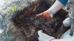 Добыча червей #2 Самый лучший способ добычи червей дома