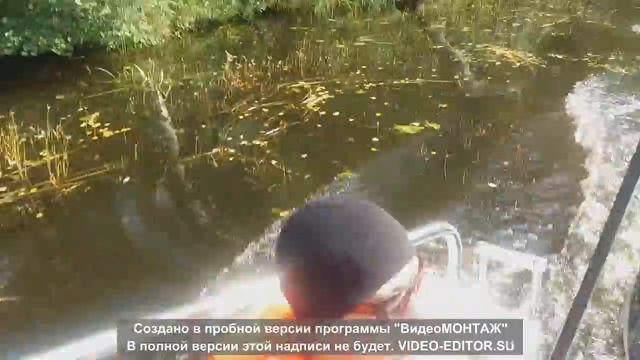 Video1