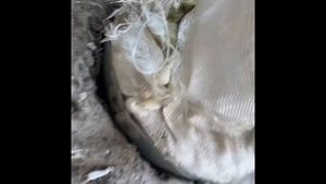 Печь-котел с водяным контуром и духовкой для гаража, мастерской, дома.