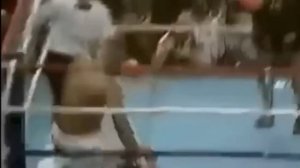 Владимир Гендлин о Майке Тайсоне. Кровавый сезон!