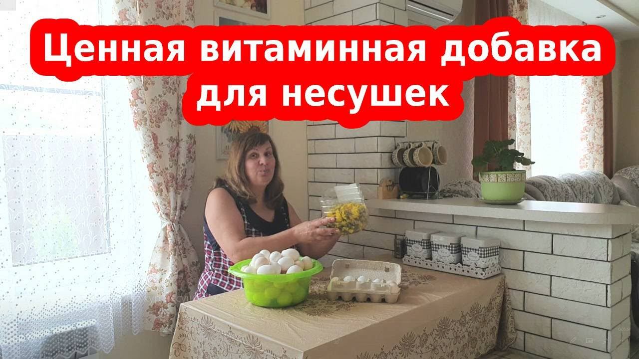 Природные витамины для кур несушек. Что для кур важно весной!
