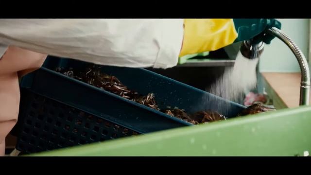 Наше производство смотреть онлайн