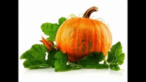 Татарский для малышей. Название овощей на татарском языке