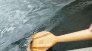 Two Essential Canoe Paddle Strokes | BWCA skills