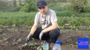 ПРОСТЕЙШИЙ КАПЕЛЬНЫЙ ПОЛИВ ИЗ ПЛАСТИКОВЫХ БУТЫЛОК, КОТОРЫЙ НИКОГДА НЕ ЗАСОРЯЕТСЯ