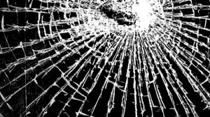 Треснуло или разбилось стекло-  Что делать если птица разбилась насмерть?