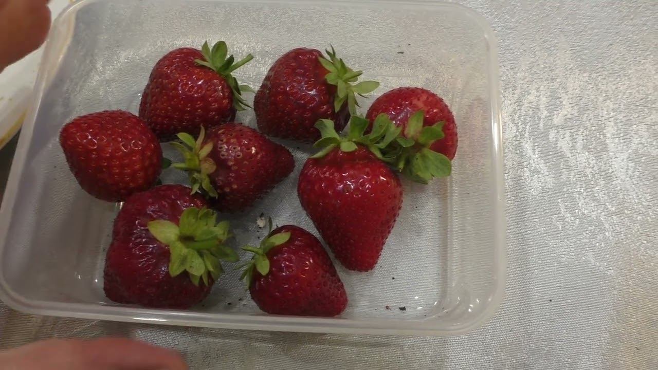 3 серия КЛУБНИКА. замер сахара в ранних сортах клубники с 16 по 22 номер смотреть онлайн