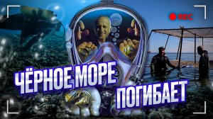 ЭКОЛОГИЧЕСКИЙ ПРОЕКТ СПАСЕНИЯ ЧЁРНОГО МОРЯ.