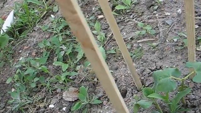 дом сад огород смотреть онлайн