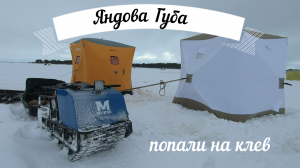 Рыбалка на Белом море. Яндова губа. Мотособака Мужик