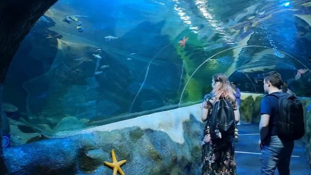 Океанариум Ailand в г. Астана, Казахстан. смотреть онлайн