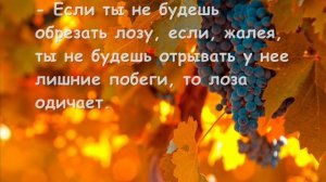 Притча "О воспитании"