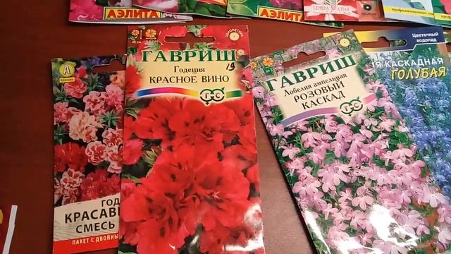 Однолетники - цветущие все лето!!!!