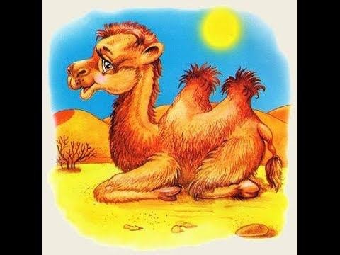 Сказка почему у верблюда два горба.