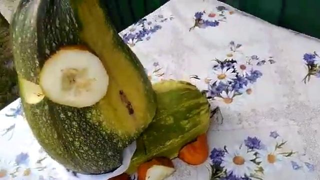 Гусеница - Вупсень, из кабачка!? смотреть всем! смотреть онлайн