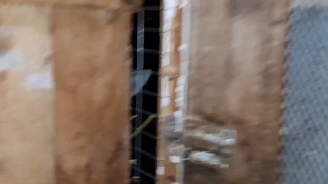 ПЛЮСОВАЯ ТЕМПЕРАТУРА НА УЛИЦЕ. ВСЁ РАСТАЁТ. 24.11.23 смотреть онлайн