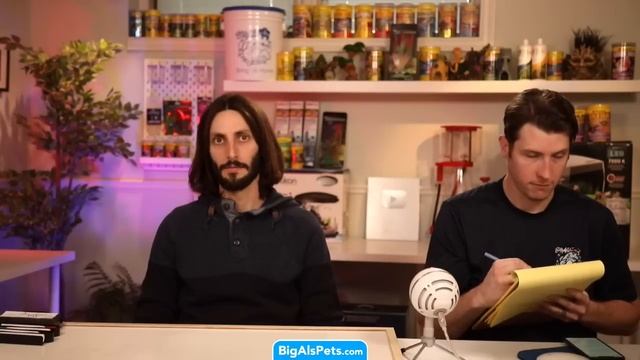 ? LIVE Aquatics Q&A • REACT • Product Features • Every OTHER Saturday @ 11am EST смотреть онлайн