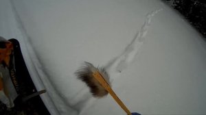 Охота на Лису капканами у привады. 2020г