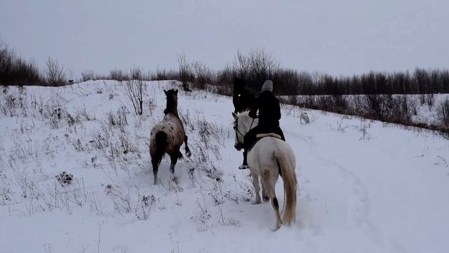 КУПИЛИ ДОМ В ДЕРЕВНЕ. ЛОШАДЬМИ ТОЖЕ НУЖНО ЗАНИМАТЬСЯ ( ЖИЗНЬ В ДЕРЕВНЕ) смотреть онлайн