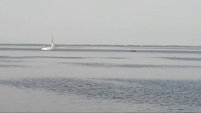 ПРОГУЛКА В ДОЛИНЕ РОЗ В ПРЯМОМ ЭФИРЕ !!! смотреть онлайн