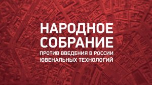 Народное Собрание против введения ювенальных технологий