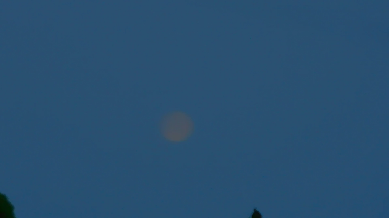 Н.Л.О. (27.06.2021)