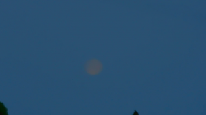 Н.Л.О. (27.06.2021)