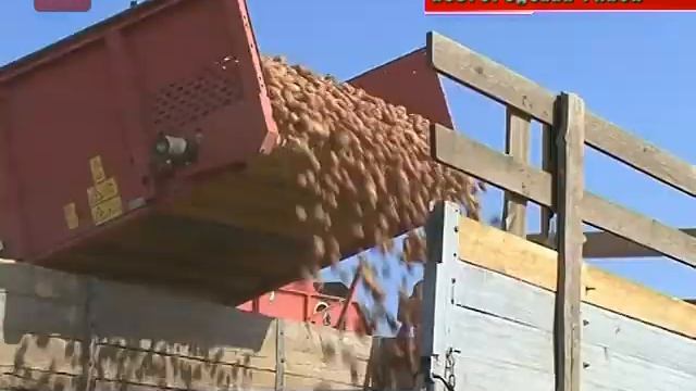 В области уже началась уборка урожая смотреть онлайн