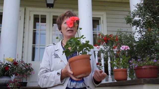 Выставка цветочных растений усадьбы пушкинской поры 2013 год смотреть онлайн