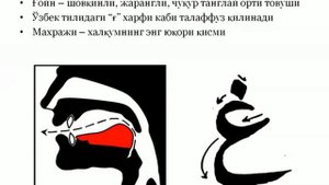 Тажвид дарслари ط ظ ع غ ف харифлари 4 қисм