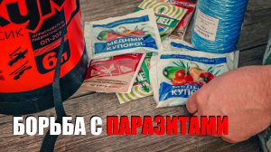Обработка плодово-ягодных деревьев и кустарников искрой. Вызов принят.
