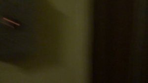 Электрический лифт (г. Королев), V=1 м-с, г-п 320 кг (73)