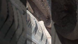 Шкода фабия шина зима 185/65 R15 задевает подкрылок. Решение.