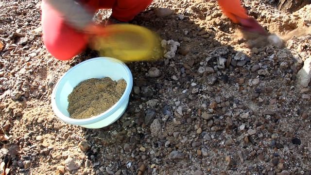 Тюльпаны и Крокусы в Январе.../ Мой первый опыт.../ смотреть онлайн