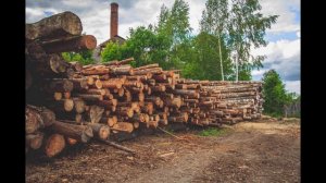 История Стародуба из глубины веков