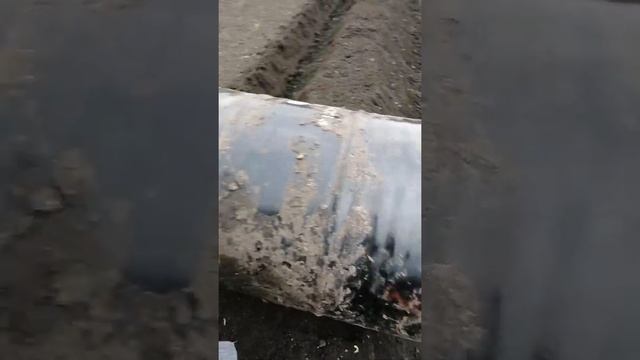 Грядки для клубники мотоблоком смотреть онлайн