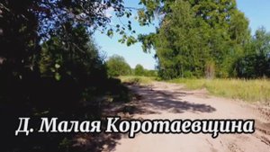 Деревня Малая Коротаевщина.mp4