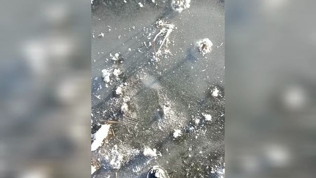 Прогулки по местности!