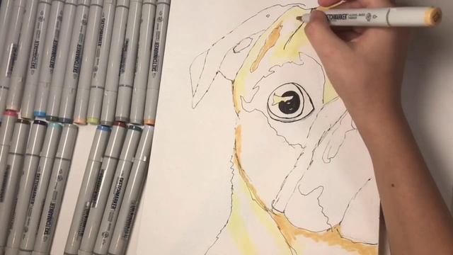Как нарисовать мопса маркерами? How do I draw a pug with markers? смотреть онлайн