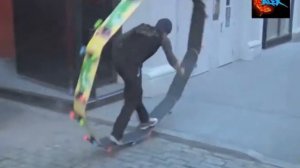 Видеокамера на спине орла - Video camera on the back of an eagle