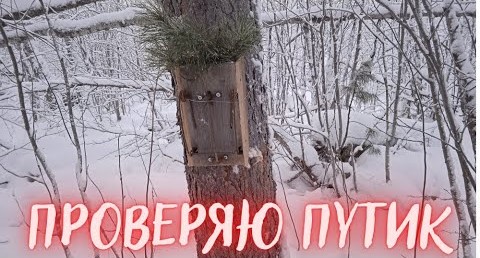 ОХОТА НА СОБОЛЯ. Серия № 7. Проверяю путик / SABLE HUNTING. Series No. 7. Checking the trail смотреть онлайн